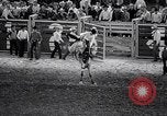 Image rodeo Houston Texas USA, 1966, de la seconde 46 séquences d'archives historiques vidéo 65675032846
