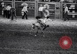 Image rodeo Houston Texas USA, 1966, de la seconde 47 séquences d'archives historiques vidéo 65675032846