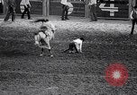 Image rodeo Houston Texas USA, 1966, de la seconde 48 séquences d'archives historiques vidéo 65675032846