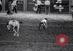 Image rodeo Houston Texas USA, 1966, de la seconde 49 séquences d'archives historiques vidéo 65675032846