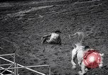 Image rodeo Houston Texas USA, 1966, de la seconde 55 séquences d'archives historiques vidéo 65675032846