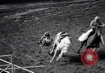 Image rodeo Houston Texas USA, 1966, de la seconde 56 séquences d'archives historiques vidéo 65675032846