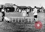 Image Faits saillants de la vie du roi George VI Royaume-Uni, 1952, de la seconde 49 séquences d'archives historiques vidéo 65675032847