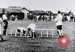 Image Faits saillants de la vie du roi George VI Royaume-Uni, 1952, de la seconde 51 séquences d'archives historiques vidéo 65675032847