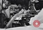 Standbild Flasche Schnaps Vereinigtes Königreich, 1950, aus Sekunde 18 historischem Filmmaterial Videoclip 65675032848