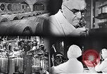 Standbild Flasche Schnaps Vereinigtes Königreich, 1950, aus Sekunde 50 historischem Filmmaterial Videoclip 65675032848