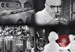 Standbild Flasche Schnaps Vereinigtes Königreich, 1950, aus Sekunde 51 historischem Filmmaterial Videoclip 65675032848