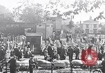 Image le bétail Ecosse Royaume-Uni, 1950, de la seconde 1 séquences d'archives historiques vidéo 65675032852