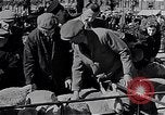 Image le bétail Ecosse Royaume-Uni, 1950, de la seconde 15 séquences d'archives historiques vidéo 65675032852