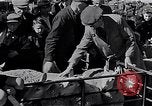 Image le bétail Ecosse Royaume-Uni, 1950, de la seconde 16 séquences d'archives historiques vidéo 65675032852