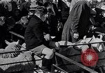 Image le bétail Ecosse Royaume-Uni, 1950, de la seconde 18 séquences d'archives historiques vidéo 65675032852