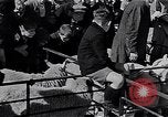Image le bétail Ecosse Royaume-Uni, 1950, de la seconde 19 séquences d'archives historiques vidéo 65675032852