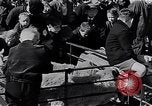 Image le bétail Ecosse Royaume-Uni, 1950, de la seconde 20 séquences d'archives historiques vidéo 65675032852