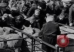 Image le bétail Ecosse Royaume-Uni, 1950, de la seconde 22 séquences d'archives historiques vidéo 65675032852