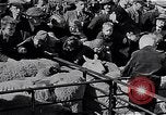 Image le bétail Ecosse Royaume-Uni, 1950, de la seconde 23 séquences d'archives historiques vidéo 65675032852