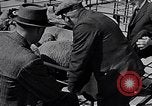 Image le bétail Ecosse Royaume-Uni, 1950, de la seconde 28 séquences d'archives historiques vidéo 65675032852