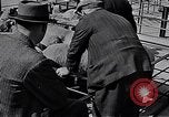 Image le bétail Ecosse Royaume-Uni, 1950, de la seconde 30 séquences d'archives historiques vidéo 65675032852
