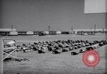Standbild Frauen Piloten der WASP Sweetwater Texas United States USA, 1943, aus Sekunde 56 historischem Filmmaterial Videoclip 65675032858