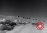 Image of Douglas B-18 Bolo Bombers California United States USA, 1938, second 44 stock footage video 65675032865