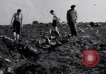 Standbild Wrack Delavan Illinois USA, 1938, aus Sekunde 15 historischem Filmmaterial Videoclip 65675032874