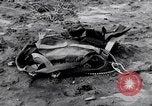 Standbild Wrack Delavan Illinois USA, 1938, aus Sekunde 39 historischem Filmmaterial Videoclip 65675032874