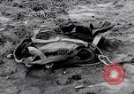 Standbild Wrack Delavan Illinois USA, 1938, aus Sekunde 40 historischem Filmmaterial Videoclip 65675032874