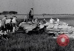 Standbild Wrack Delavan Illinois USA, 1938, aus Sekunde 56 historischem Filmmaterial Videoclip 65675032874