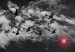 Image of B-18 aircraft California United States USA, 1938, second 32 stock footage video 65675032879