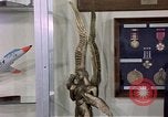 Immagine di Trofei United States USA, 1975, secondo 19 filmato di repertorio 65675032910