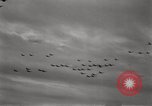 Standbild Friedensvertrag Tokyo Bay Japan, 1945, aus Sekunde 4 historischem Filmmaterial Videoclip 65675032940