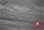 Standbild Friedensvertrag Tokyo Bay Japan, 1945, aus Sekunde 5 historischem Filmmaterial Videoclip 65675032940