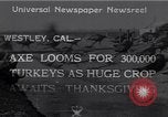 Immagine di Turchia Westley California USA, 1933, secondo 11 filmato di repertorio 65675032944