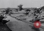 Immagine di Turchia Westley California USA, 1933, secondo 14 filmato di repertorio 65675032944