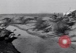 Immagine di Turchia Westley California USA, 1933, secondo 16 filmato di repertorio 65675032944