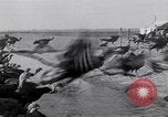Immagine di Turchia Westley California USA, 1933, secondo 17 filmato di repertorio 65675032944