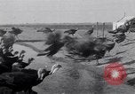 Immagine di Turchia Westley California USA, 1933, secondo 18 filmato di repertorio 65675032944