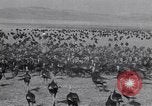 Immagine di Turchia Westley California USA, 1933, secondo 23 filmato di repertorio 65675032944