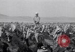 Immagine di Turchia Westley California USA, 1933, secondo 24 filmato di repertorio 65675032944
