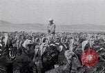 Immagine di Turchia Westley California USA, 1933, secondo 25 filmato di repertorio 65675032944