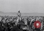 Immagine di Turchia Westley California USA, 1933, secondo 27 filmato di repertorio 65675032944