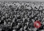 Immagine di Turchia Westley California USA, 1933, secondo 33 filmato di repertorio 65675032944