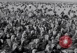 Immagine di Turchia Westley California USA, 1933, secondo 34 filmato di repertorio 65675032944