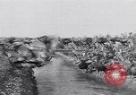 Immagine di Turchia Westley California USA, 1933, secondo 43 filmato di repertorio 65675032944