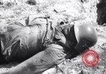 Image of Destruction in Germany from World War 2 Germany, 1945, second 8 stock footage video 65675032952