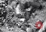 Image of Destruction in Germany from World War 2 Germany, 1945, second 10 stock footage video 65675032952