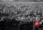 Image of Destruction in Germany from World War 2 Germany, 1945, second 24 stock footage video 65675032952