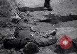 Image of Allies defeating Germany  France, 1944, second 18 stock footage video 65675032956