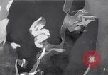 Image of Allies attacking German targets Germany, 1945, second 13 stock footage video 65675032957