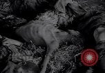 Image of Allies invade Germany Germany, 1945, second 20 stock footage video 65675032958