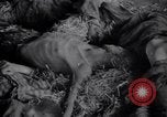 Image of Allies invade Germany Germany, 1945, second 22 stock footage video 65675032958